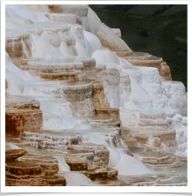 Yellowstone National Park - Minerva Terrace